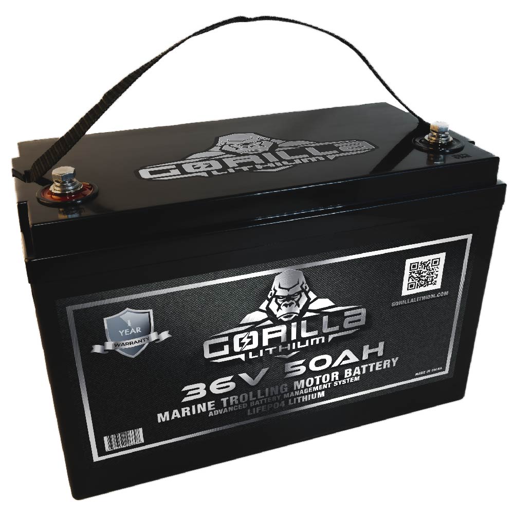 Jarocells Batteria 36V 25A Litio LiFePO4 